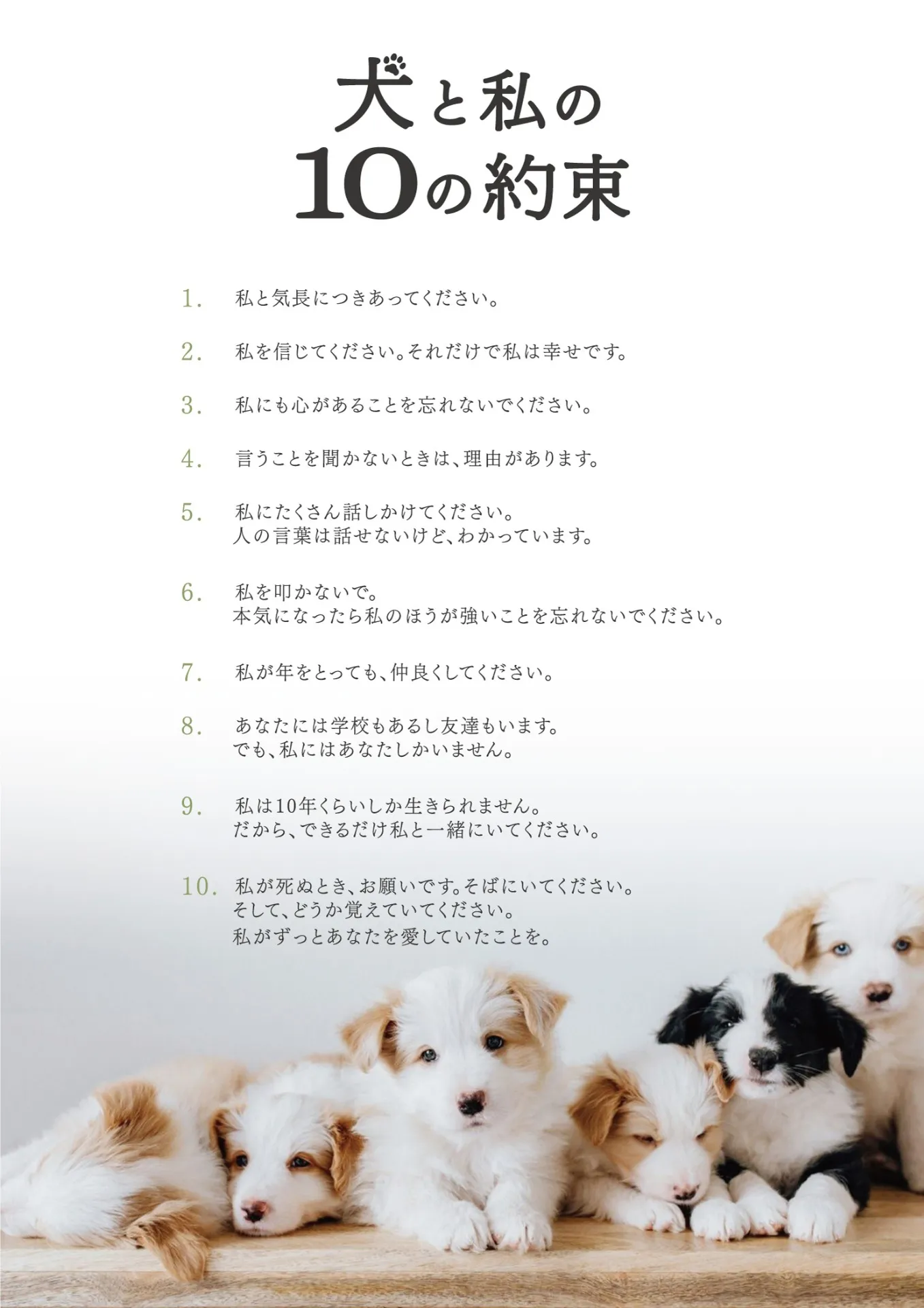犬と私の１０の約束｜【大分・ペット用品・グッズ販売】